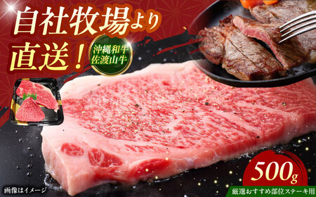 [厳選!おすすめ部位]沖縄和牛 佐渡山牛 ステーキ肉 500g ステーキ 沖縄市 / 肉のサブロー ステーキ ステーキ ステーキ ステーキ ステーキ[BCBC001]