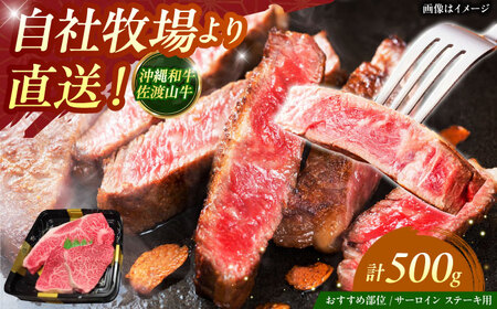 [数量限定]沖縄和牛 佐渡山牛 サーロイン&希少部位 ステーキ肉 500g 沖縄市 / 肉のサブロー サーロインステーキ サーロインステーキ サーロインステーキ サーロインステーキ [BCBC004]