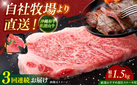 [全3回定期便][厳選!おすすめ部位]沖縄和牛 佐渡山牛 ステーキ肉 500g 牛肉ステーキ 牛肉ステーキ 牛肉ステーキ 牛肉ステーキ 牛肉ステーキ