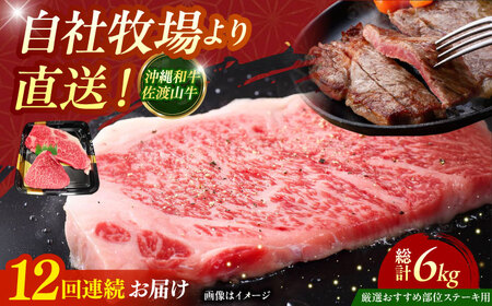 牛肉 ステーキ [全12回定期便][厳選!おすすめ部位]沖縄和牛 佐渡山牛 ステーキ肉 500g BCBC007 牛肉