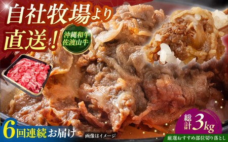 牛肉 焼肉 [全6回定期便][厳選!おすすめ部位]沖縄和牛 佐渡山牛 切り落とし 500g BCBC009 牛肉