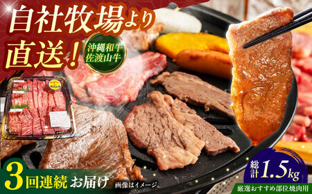 [全3回定期便][厳選!おすすめ部位]沖縄和牛 佐渡山牛 焼肉用 500g 牛肉焼肉 牛肉焼肉 牛肉焼肉 牛肉焼肉 牛肉焼肉
