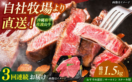 [全3回定期便][数量限定]沖縄和牛 佐渡山牛 サーロイン&希少部位 ステーキ肉 500g サーロインステーキ サーロインステーキ サーロインステーキ サーロインステーキ サーロインステーキ