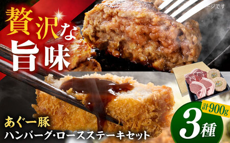 沖縄県産 あぐー豚 ハンバーグ・ステーキセット 計900g ハンバーグ ハンバーグ ハンバーグ ハンバーグ ハンバーグ