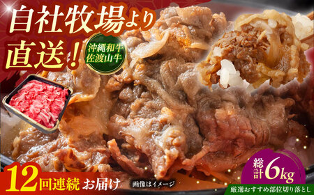 yS12ցzyIIߕʁza nR ؂藎Ƃ 500g  ē Ă a Ԑg s / ̃Tu[ [BCBC010]