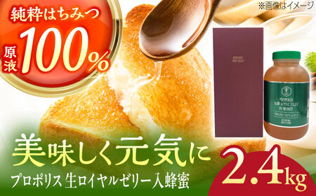 コハマのハチミツ プロポリス 生ローヤルゼリー入蜂蜜 2.4kg×1本 はちみつ 蜂蜜 はちみつ 蜂蜜 はちみつ 蜂蜜 はちみつ 蜂蜜 はちみつ 蜂蜜