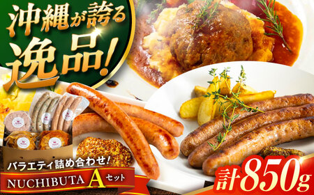『NUCHIBUTA Aセット』 豚肉 ハンバーグ ソーセージ 詰め合わせ お取り寄せ 国産 ギフト 冷凍 沖縄市 / DELICATESSEN NUCHIBUTA[BCAR003]