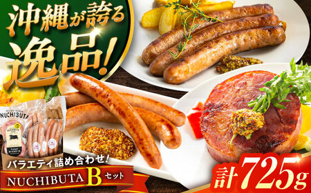 『NUCHIBUTA Bセット』 豚肉 ポークステーキ ソーセージ 詰め合わせ お取り寄せ 国産 ギフト 冷凍 沖縄市 / DELICATESSEN NUCHIBUTA[BCAR004]