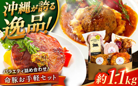 『お手軽セット』 豚肉 ポークステーキ ハンバーグ 詰め合わせ お取り寄せ 国産 ギフト 冷凍 沖縄市 / DELICATESSEN NUCHIBUTA[BCAR006]
