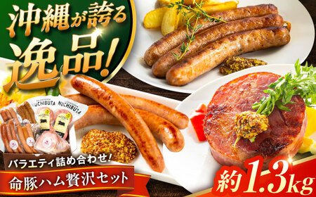 『ハム贅沢セット』 豚肉 ポークステーキ ソーセージ ハム 詰め合わせ お取り寄せ 国産 ギフト 冷凍 沖縄市 / DELICATESSEN NUCHIBUTA[BCAR007]
