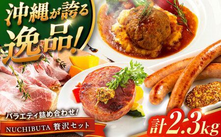 『NUCHIBUTA 贅沢セット』 豚肉 ハンバーグ ソーセージ ハム 詰め合わせ お取り寄せ 国産 ギフト 冷凍 沖縄市 / DELICATESSEN NUCHIBUTA[BCAR008]
