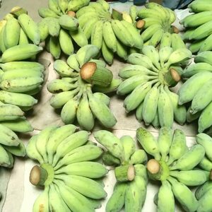 ムッチリ食感！沖縄県産アップルバナナ 2kg バナナ フルーツ 果物 無農薬 banana 沖縄市 / タカエス フルーツ＆ベジタブル[BCBH001]