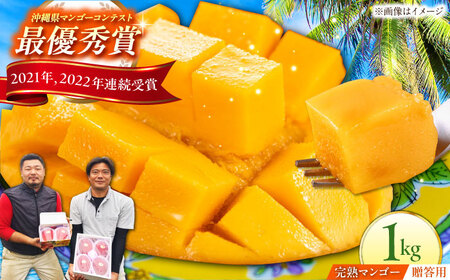 [贈答用]完熟アップルマンゴー1kg マンゴー 沖縄 果物 フルーツ ギフト 沖縄市 / 仲村農園 マンゴージュース マンゴープリン[BCCU002]