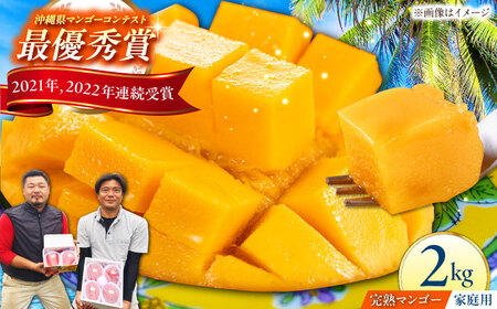 [家庭用]完熟アップルマンゴー 2kg マンゴー 沖縄 果物 フルーツ ギフト 沖縄市 / 仲村農園 マンゴージュース マンゴープリン マンゴーアイス マンゴーソース[BCCU003]