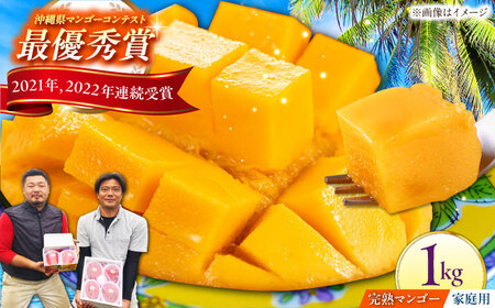 [家庭用]完熟アップルマンゴー 1kg マンゴー 沖縄 果物 フルーツ ギフト 沖縄市 / 仲村農園 マンゴーアイス マンゴーソース[BCCU004]