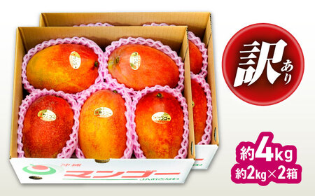 �y��s�\�� 2026�N���� �\���t�z �󂠂� ���n�}���S�[ ��4kg (��2kg×2��) �}���S�[ ���� �ʕ� �t���[�c �M�t�g ����s / �����Ղ�`�s��[BCAA007]