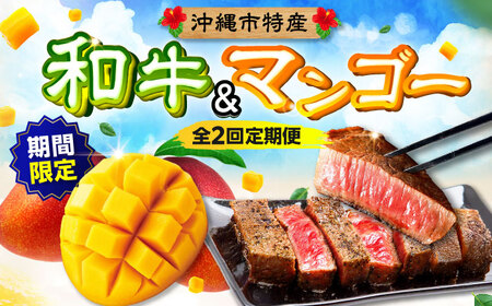 [期間限定] [全2回] 沖縄市特産 和牛ステーキ &マンゴー アップルマンゴー 沖縄 牛肉 希少部位 ステーキ 沖縄市 / 仲村農園 / 肉のサブロー[BCZZ049]