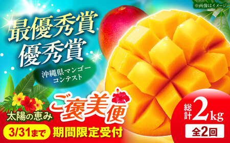 [全2回]太陽の恵み マンゴーご褒美便 (総計2kg) マンゴー 2026 沖縄 果物 フルーツ ギフト 沖縄市 / 仲村農園[BCZZ051]