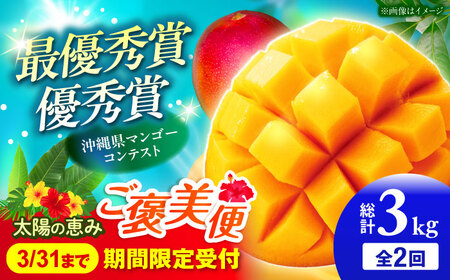 �y�S2��z���z�̌b�� �}���S�[���J���� (���v3kg) �}���S�[ 2026 ���� �ʕ� �t���[�c �M�t�g ����s / �����_��[BCZZ052]