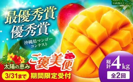 �y�S2��z���z�̌b�� �}���S�[���J���� (��4kg) �}���S�[ 2026 ���� �ʕ� �t���[�c �M�t�g ����s / �����_��[BCZZ053]