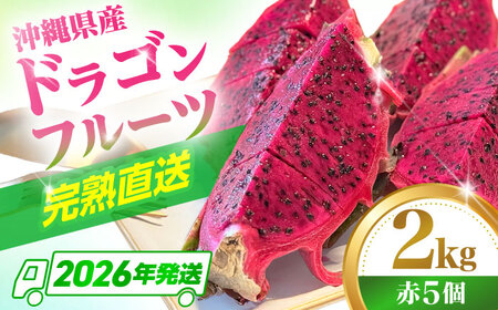 ドラゴンフルーツ 2kg 完熟直送! 沖縄県産ドラゴンフルーツ