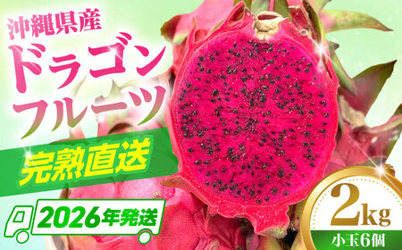 [小玉]ドラゴンフルーツ 2kg 完熟直送!沖縄ドラゴンフルーツ