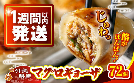 冷凍マグロギョーザ 72個(12個入り6パック) 餃子 冷凍 国産 マグロ 沖縄産 沖縄市 / 沖縄市漁業協同組合 パヤオ直売店[BCDZ012]