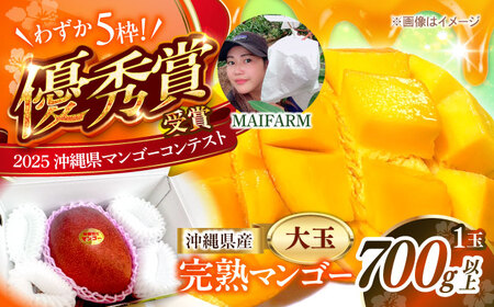 [最優秀賞受賞]沖縄県産 完熟マンゴー 大玉 1個入り マンゴー 沖縄 果物 フルーツ ギフト 沖縄市 / MAIFARM[BCAN005]