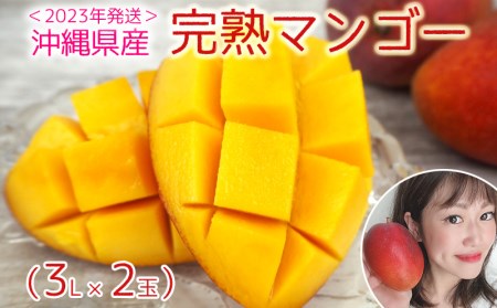 ＜2023年発送＞沖縄県産　完熟マンゴー（3L×2玉）