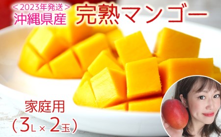 ＜2023年発送＞沖縄県産　完熟マンゴー（3L×2玉）家庭用