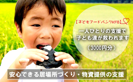 【子どもフードバンクKFB】安心できる居場所づくり・物資提供の支援（3000円分）【 思いやり型 あしなが型 支援型 返礼品無し 子供 こども 応援 協力 サポート 活動支援 子育て支援 こども食堂 食料 食事 提供 学習サポート 社会貢献 SDGs 南国 沖縄 】