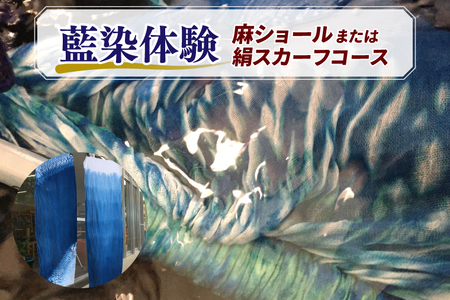 BT003@̌ V[܂͌XJ[tR[X