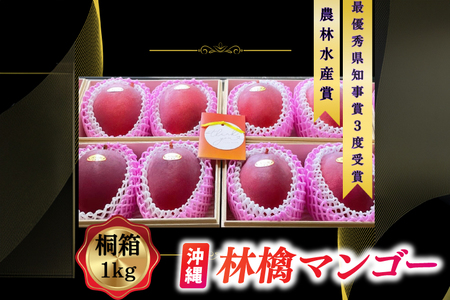 y2026N6{菇zʌ聚ꌧŗDGm܂3xPI˔}S[ 1kg(500g×2)b}S[ t[c ʕ  s\ 蕨 v[g
