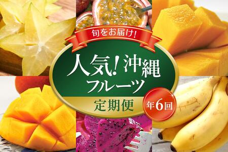 人気！沖縄フルーツ定期便（年6回）【マンゴー パッションフルーツ 定期便 果物 人気 おすすめ フルーツ くだもの フルーツ 定期】