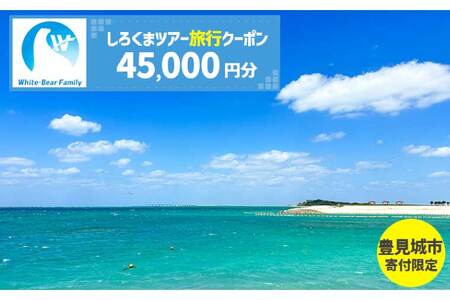 【豊見城市】しろくまツアーで利用可能なWEB旅行クーポン(45,000円分)｜旅行 観光 ツアー トラベル 宿泊 ホテル 沖縄 沖縄旅行 海 おきなわ 豊見城市 人気 送料無料（CV008）