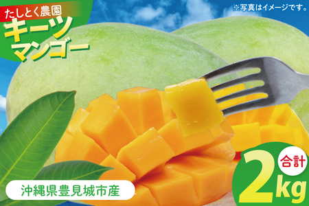 【2025年8月より順次発送】沖縄県豊見城市産キーツマンゴー 約2kg｜マンゴー キーツマンゴー フルーツ くだもの 果物 数量限定 おきなわ 沖縄 沖縄フルーツ 沖縄県 豊見城市(DJ003)