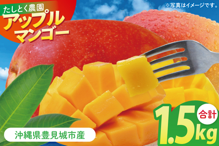 沖縄県豊見城市産アップルマンゴー 約1.5kg|マンゴー アップルマンゴー フルーツ くだもの 果物 数量限定 おきなわ 沖縄 沖縄フルーツ 豊見城市