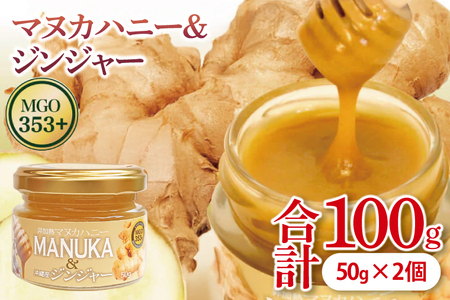 マヌカハニー&沖縄県産ジンジャー 50g×2個|はちみつ ハチミツ 蜂蜜 マヌカハニー ジンジャー 生姜 ビタミン お土産 ギフト プレゼント お祝い 人気 沖縄 沖縄県 豊見城市