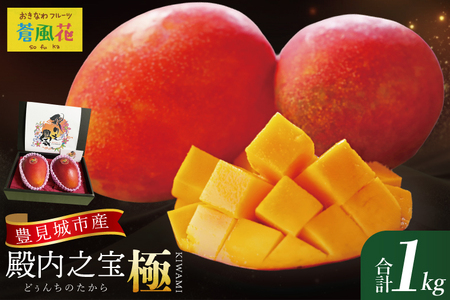 �y2026�N7����菇�������z�L����Y�}���S�[�w�a���V��(�ǂ��񂿂̂�����)�E�Ɂx��1kg�b�}���S�[ �t���[�c �ʕ� �������� ��s�\�� ���n�}���S�[ ����t���[�c �����Ȃ� ���� ���ꌧ �L����