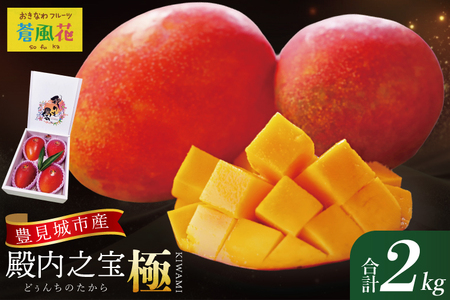 �y2026�N7����菇�������z�L����Y�}���S�[�w�a���V��(�ǂ��񂿂̂�����)�E�Ɂx��2kg�b�}���S�[ �t���[�c �ʕ� �������� ��s�\�� ���n�}���S�[ ����t���[�c �����Ȃ� ���� ���ꌧ �L����