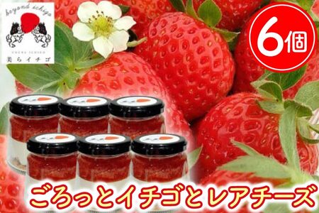 ƃC`SƃA`[YbP[L XC[c fU[g C`S   A`[YP[L `[YP[L v[g Mtg 蕨 lC  ꌧ Ls(AX001)