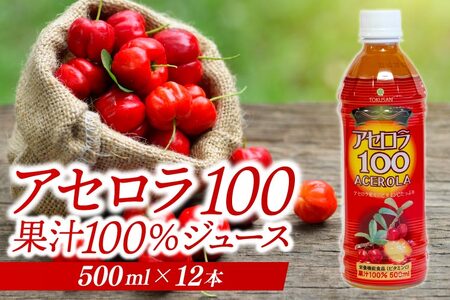AZ100 Xg[g100%W[X(500ml×12{)bAZ t[c ʕ  AZW[X W[X t[cW[X Xg[g ʏ` ꌧ Ȃ Ls(AD003)