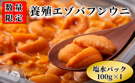 [数量限定]浜中産 養殖エゾバフンウニ(塩水パック)100g 浜中産 養殖 エゾバフンウニ 塩水パック 100g 数量限定 生うに 新鮮 海鮮 魚介類 海の幸 海産物 うに丼 パスタ 寿司 軍艦巻き 手巻き おかず おつまみ お取り寄せ グルメ ご褒美 贅沢 食品 冷蔵 北海道 浜中町 送料無料