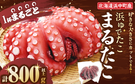 [令和8年2月発送分]浜ゆでたこ「まるたこ」800g以上×1袋 北海道浜中町産