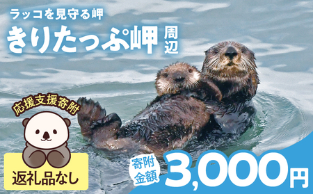ラッコを見守る岬「きりたっぷ岬」周辺の環境整備 3000円分 返礼品なし