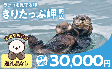 ラッコを見守る岬「きりたっぷ岬」周辺の環境整備 30000円分 返礼品なし