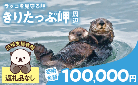 ラッコを見守る岬「きりたっぷ岬」周辺の環境整備 100000円分 返礼品なし