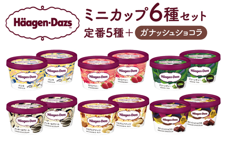 ハーゲンダッツ『ミニカップ12個セット(定番フレーバー&新商品 ガナッシュショコラ)』アイスクリーム アイス スイーツ デザート