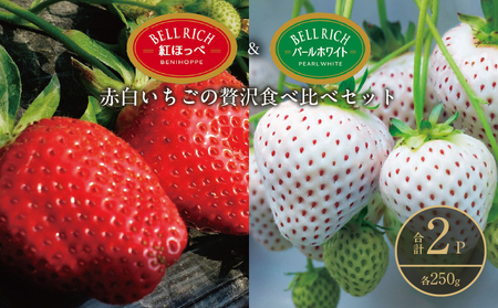[数量限定]赤白いちごの贅沢食べ比べセット(合計2パック) BELL RICH