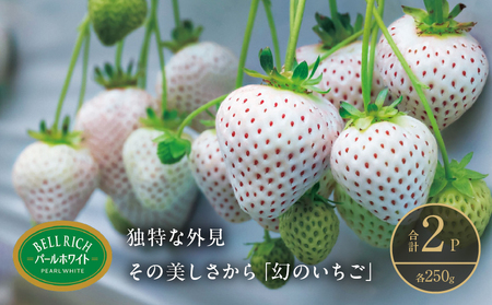 [数量限定]白いちご"パールホワイト"(計2パック) BELL RICH
